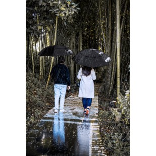 Guarda-chuva de 27.5'' Personalizado