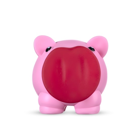 Cofrinho Porquinho Personalizado