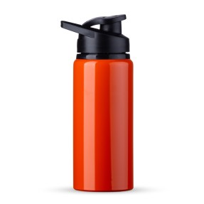Squeeze de Alumínio 650ml Personalizado