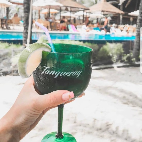 Taça Gin 550ml Personalizada